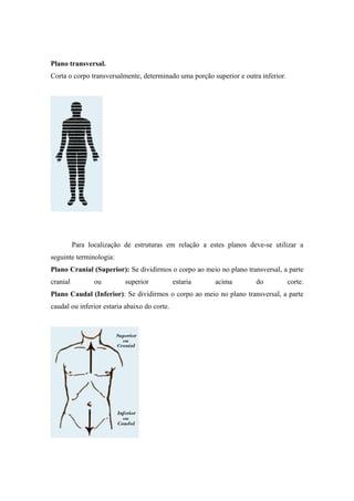 Plano transversal.
Corta o corpo transversalmente, determinado uma porção superior e outra inferior.
Para localização de estruturas em relação a estes planos deve-se utilizar a
seguinte terminologia:
Plano Cranial (Superior): Se dividirmos o corpo ao meio no plano transversal, a parte
cranial ou superior estaria acima do corte.
Plano Caudal (Inferior): Se dividirmos o corpo ao meio no plano transversal, a parte
caudal ou inferior estaria abaixo do corte.
 