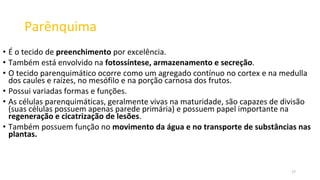 Parênquima
• É o tecido de preenchimento por excelência.
• Também está envolvido na fotossíntese, armazenamento e secreção.
• O tecido parenquimático ocorre como um agregado contínuo no cortex e na medulla
dos caules e raízes, no mesófilo e na porção carnosa dos frutos.
• Possui variadas formas e funções.
• As células parenquimáticas, geralmente vivas na maturidade, são capazes de divisão
(suas células possuem apenas parede primária) e possuem papel importante na
regeneração e cicatrização de lesões.
• Também possuem função no movimento da água e no transporte de substâncias nas
plantas.
17
 