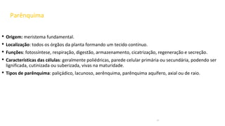 Parênquima
• Origem: meristema fundamental.
• Localização: todos os órgãos da planta formando um tecido contínuo.
• Funções: fotossíntese, respiração, digestão, armazenamento, cicatrização, regeneração e secreção.
• Características das células: geralmente poliédricas, parede celular primária ou secundária, podendo ser
lignificada, cutinizada ou suberizada, vivas na maturidade.
• Tipos de parênquima: paliçádico, lacunoso, aerênquima, parênquima aquífero, axial ou de raio.
18
 