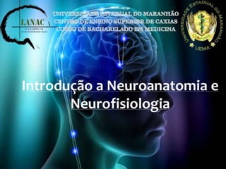 Introdução a Neuroanatomia e 
Neurofisiologia 
 