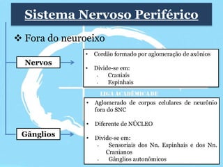 Divisão Funcional do Sistema Nervoso 
Sistema nervoso 
somático (SNS) 
Sistema nervoso 
autonômico 
(SNA) 
 Voluntário 
...