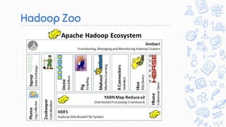 Hadoop Zoo
 