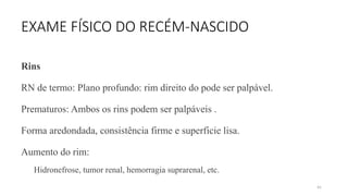 84
EXAME FÍSICO DO RECÉM-NASCIDO
Rins
RN de termo: Plano profundo: rim direito do pode ser palpável.
Prematuros: Ambos os rins podem ser palpáveis .
Forma aredondada, consistência firme e superficie lisa.
Aumento do rim:
Hidronefrose, tumor renal, hemorragia suprarenal, etc.
 