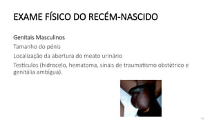 86
EXAME FÍSICO DO RECÉM-NASCIDO
Genitais Masculinos
Tamanho do pénis
Localização da abertura do meato urinário
Testículos (hidrocelo, hematoma, sinais de traumatismo obstétrico e
genitália ambígua).
 