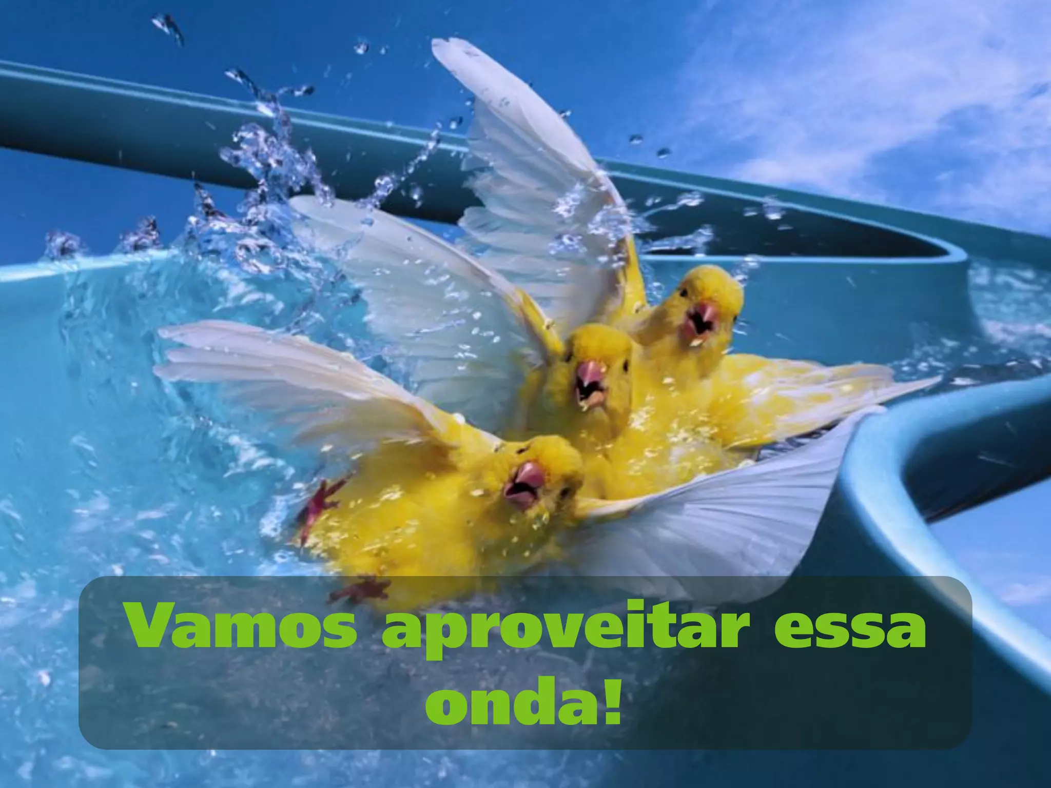 Vamos aproveitar essa
       onda!
 