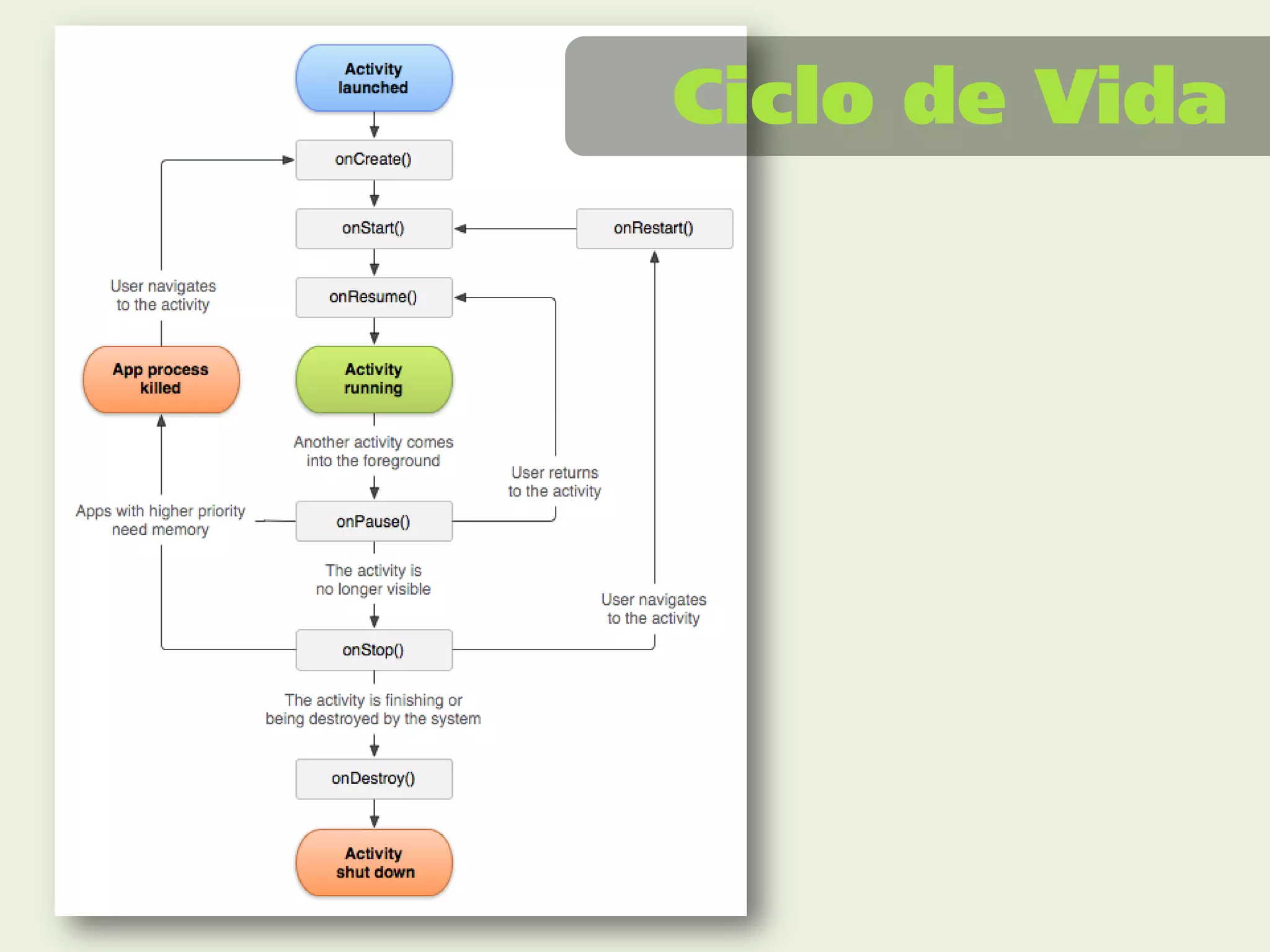 Ciclo de Vida
 