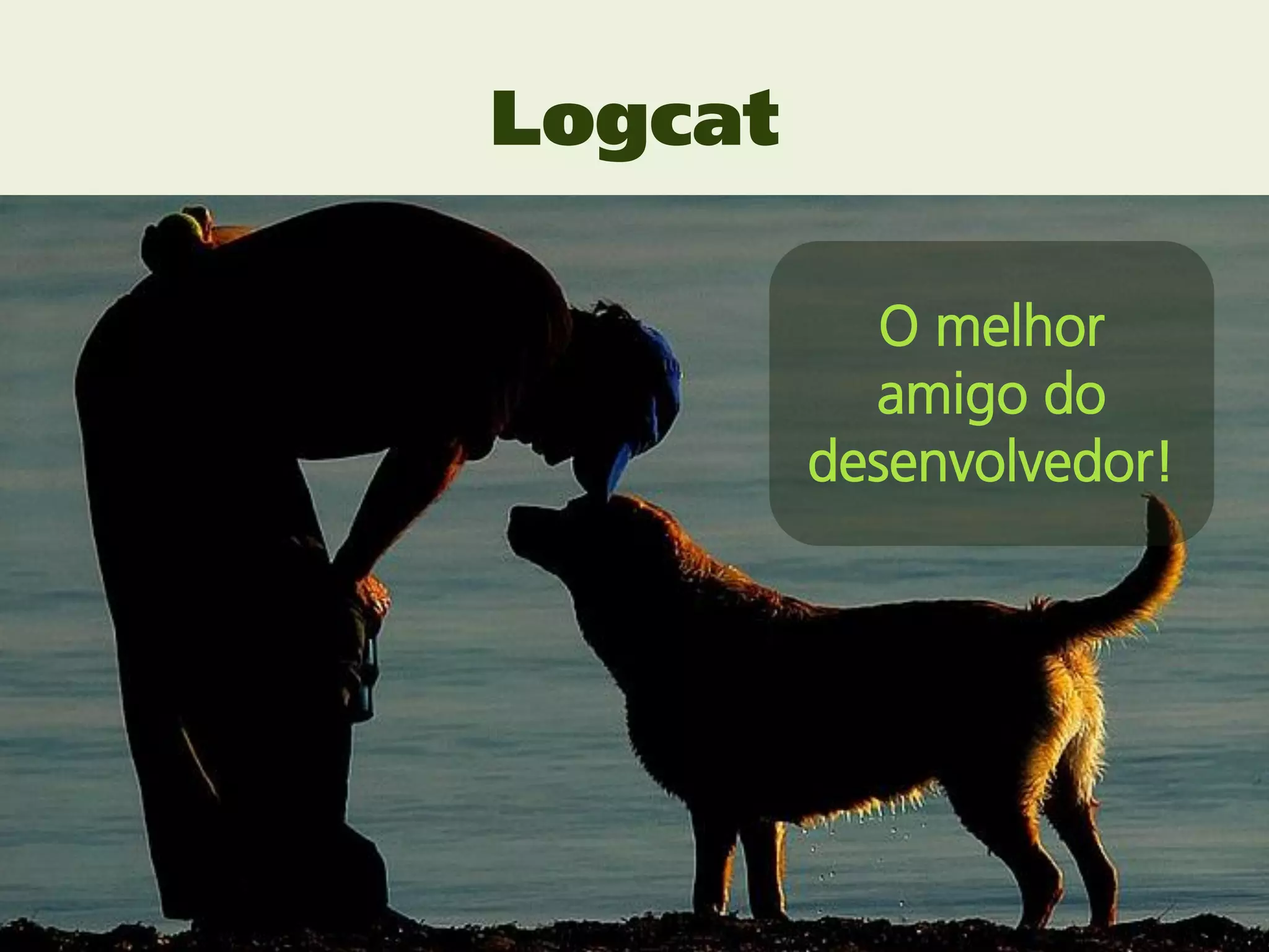 Logcat

            O melhor
           amigo do
         desenvolvedor!
 
