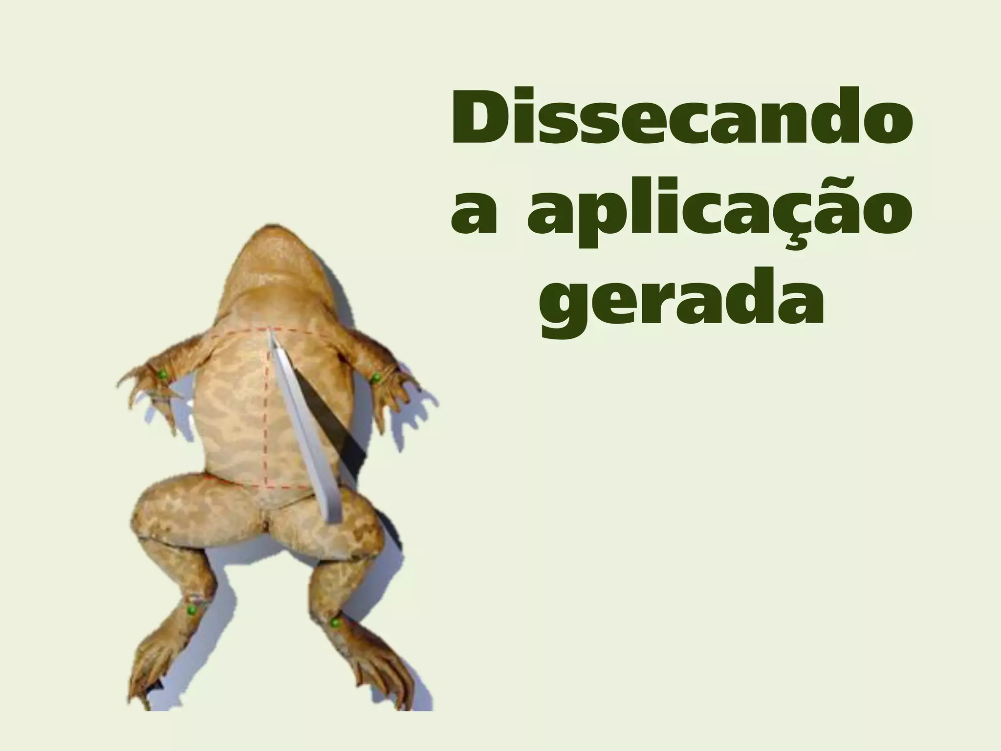 Dissecando
a aplicação
  gerada
 