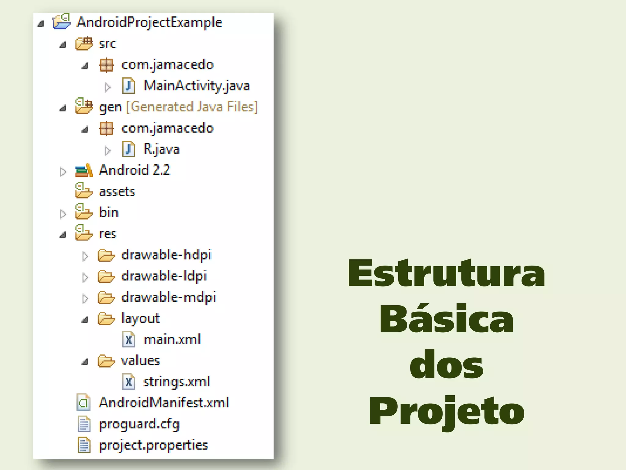 Estrutura
 Básica
   dos
 Projeto
 