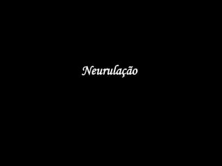 Neurulação