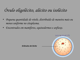 Óvulo oligolécito, alécito ou isolécitoPequena quantidade de vitelo, distribuído de maneira mais ou menos uniforme no citoplasma.Encontrados em mamíferos, equinodermos e anfioxo.Grânulos de lécito