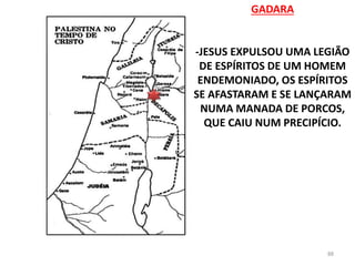 GADARA
-JESUS EXPULSOU UMA LEGIÃO
DE ESPÍRITOS DE UM HOMEM
ENDEMONIADO, OS ESPÍRITOS
SE AFASTARAM E SE LANÇARAM
NUMA MANADA DE PORCOS,
QUE CAIU NUM PRECIPÍCIO.
88
 