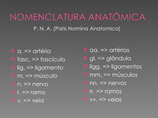 P. N. A. (Paris Nomina Anatomica)



   a. => artéria              aa. => artérias
   fasc. => fascículo         gl. => glândula
   lig. => ligamento          ligg. => ligamentos
   m. => músculo              mm. => músculos
   n. => nervo                nn. => nervos
   r. => ramo                 rr. => ramos
   v. => veia                 vv. => veias
 