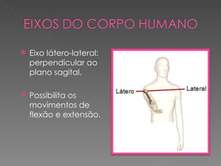    Eixo látero-lateral:
    perpendicular ao
    plano sagital.

   Possibilita os
    movimentos de
    flexão e extensão.
 