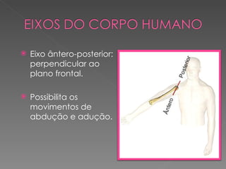    Eixo ântero-posterior:
    perpendicular ao
    plano frontal.

   Possibilita os
    movimentos de
    abdução e adução.
 