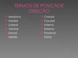    Mediano      Cranial
   Medial       Caudal
   Lateral      Interno
   Ventral      Externo
   Dorsal       Proximal
   Média        Distal
 