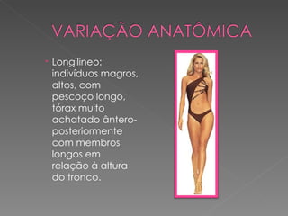  Longilíneo:
  indivíduos magros,
  altos, com
  pescoço longo,
  tórax muito
  achatado ântero-
  posteriormente
  com membros
  longos em
  relação à altura
  do tronco.
 