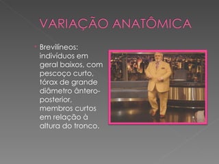  Brevilíneos:
  indivíduos em
  geral baixos, com
  pescoço curto,
  tórax de grande
  diâmetro ântero-
  posterior,
  membros curtos
  em relação à
  altura do tronco.
 