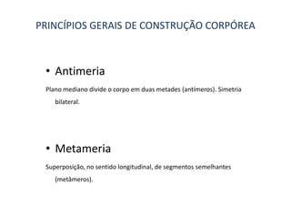 PRINCÍPIOS GERAIS DE CONSTRUÇÃO CORPÓREA



 • Antimeria
 Plano mediano divide o corpo em duas metades (antímeros). Simetria
    bilateral.




 • Metameria
 Superposição, no sentido longitudinal, de segmentos semelhantes
    (metâmeros).
 