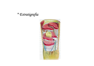 * Estratigrafia
 