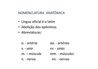 NOMENCLATURA ANATÔMICA

• Língua oficial é o latim
• Abolição dos epônimos
• Abreviaturas:

  a. - artéria       aa. - artérias
  v. - veia          vv. - veias
  m. – músculo       mm. - músculos
  n. - nervo          nn. - nervos
 