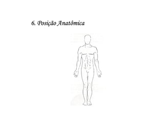 6. Posição Anatômica
 