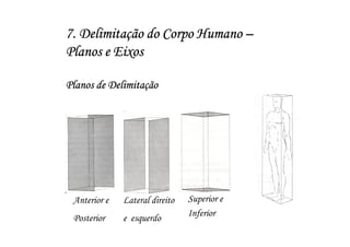 7. Delimitação do Corpo Humano –
Planos e Eixos

Planos de Delimitação




 Anterior e   Lateral direito   Superior e
 Posterior    e esquerdo        Inferior
 