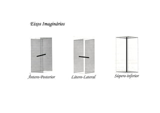 Eixos Imaginários




Ântero-Posterior     Látero-Lateral   Súpero-inferior
 
