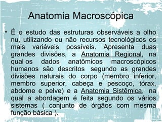 Anatomia Macroscópica
• É o estudo das estruturas observáveis a olho
nu, utilizando ou não recursos tecnológicos os
mais variáveis possíveis. Apresenta duas
grandes divisões, a Anatomia Regional, na
qual os dados anatômicos macroscópicos
humanos são descritos segundo as grandes
divisões naturais do corpo (membro inferior,
membro superior, cabeça e pescoço, tórax,
abdome e pelve) e a Anatomia Sistêmica, na
qual a abordagem é feita segundo os vários
sistemas ( conjunto de órgãos com mesma
função básica ).
 