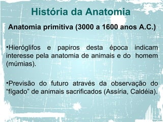 História da Anatomia
Anatomia primitiva (3000 a 1600 anos A.C.)
•Hieróglifos e papiros desta época indicam
interesse pela anatomia de animais e do homem
(múmias).
•Previsão do futuro através da observação do
“fígado” de animais sacrificados (Assíria, Caldéia).
 