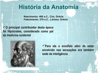 O principal contribuidor desta época
foi Hipócrates, considerado como pai
da medicina ocidental
Para ele o encéfalo além de estar
envolvido nas sensações era também
sede da inteligência
História da Anatomia
Nascimento: 460 a.C., Cós, Grécia
Falecimento: 370 a.C., Lárissa, Grécia
 