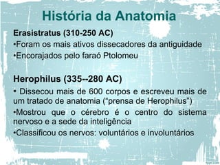 Erasistratus (310-250 AC)
•Foram os mais ativos dissecadores da antiguidade
•Encorajados pelo faraó Ptolomeu
Herophilus (335--280 AC)
• Dissecou mais de 600 corpos e escreveu mais de
um tratado de anatomia (“prensa de Herophilus”)
•Mostrou que o cérebro é o centro do sistema
nervoso e a sede da inteligência
•Classificou os nervos: voluntários e involuntários
História da Anatomia
 