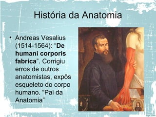 História da Anatomia
• Andreas Vesalius
(1514-1564): “De
humani corporis
fabrica”. Corrigiu
erros de outros
anatomistas, expôs
esqueleto do corpo
humano. “Pai da
Anatomia”
 
