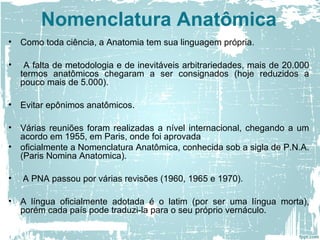 • Como toda ciência, a Anatomia tem sua linguagem própria.
• A falta de metodologia e de inevitáveis arbitrariedades, mais de 20.000
termos anatômicos chegaram a ser consignados (hoje reduzidos a
pouco mais de 5.000).
• Evitar epônimos anatômicos.
• Várias reuniões foram realizadas a nível internacional, chegando a um
acordo em 1955, em Paris, onde foi aprovada
• oficialmente a Nomenclatura Anatômica, conhecida sob a sigla de P.N.A.
(Paris Nomina Anatomica).
• A PNA passou por várias revisões (1960, 1965 e 1970).
• A língua oficialmente adotada é o latim (por ser uma língua morta),
porém cada país pode traduzi-la para o seu próprio vernáculo.
Nomenclatura Anatômica
 