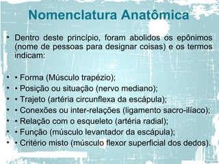 • Dentro deste princípio, foram abolidos os epônimos
(nome de pessoas para designar coisas) e os termos
indicam:
• • Forma (Músculo trapézio);
• • Posição ou situação (nervo mediano);
• • Trajeto (artéria circunflexa da escápula);
• • Conexões ou inter-relações (ligamento sacro-ilíaco);
• • Relação com o esqueleto (artéria radial);
• • Função (músculo levantador da escápula);
• • Critério misto (músculo flexor superficial dos dedos).
Nomenclatura Anatômica
 