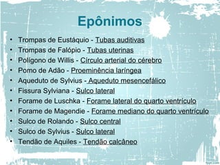 Epônimos
• Trompas de Eustáquio - Tubas auditivas
• Trompas de Falópio - Tubas uterinas
• Polígono de Willis - Círculo arterial do cérebro
• Pomo de Adão - Proeminência laríngea
• Aqueduto de Sylvius - Aqueduto mesencefálico
• Fissura Sylviana - Sulco lateral
• Forame de Luschka - Forame lateral do quarto ventrículo
• Forame de Magendie - Forame mediano do quarto ventrículo
• Sulco de Rolando - Sulco central
• Sulco de Sylvius - Sulco lateral
• Tendão de Aquiles - Tendão calcâneo
 