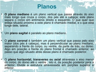Planos
• O plano mediano é um plano vertical que passa através do eixo
mais longo que cruza o corpo, dos pés até a cabeça; este plano
separa o corpo em antímeros direito e esquerdo. O que quer que
esteja situada próximo a este plano é chamado medial, e o que está
longe dele, lateral.
• Um plano sagital é paralelo ao plano mediano.
• O plano coronal é também um plano vertical que passa pelo eixo
maior (dos pés à cabeça), mas é perpendicular ao plano mediano,
separando a frente do corpo, ou ventre, da parte de trás, ou dorso.
Algo em posição à frente do plano frontal é chamado anterior, ao
passo que algo situado atrás desse plano é chamado posterior.
• O plano horizontal, transverso ou axial atravessa o eixo menor
do corpo, do dorso até o ventre , isto é, da posição posterior para a
anterior. Divide a estrutura atravessada em porções superior e
inferior.
 