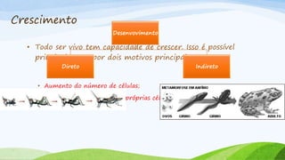 Crescimento
• Todo ser vivo tem capacidade de crescer. Isso é possível
principalmente por dois motivos principais:
• Aumento do número de células;
• Aumento no tamanho das próprias células.
Desenvovimento
Direto Indireto
 
