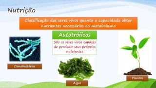 Nutrição
Classificação dos seres vivos quanto a capacidade obter
nutrientes necessários ao metabolismo
Autotróficos
São os seres vivos capazes
de produzir seus próprios
nutrientes
Cianobactérias
Algas
Plantas
 