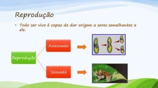 Reprodução
• Todo ser vivo é capaz de dar origem a seres semelhantes a
ele.
Reprodução
Assexuada
Sexuada
 