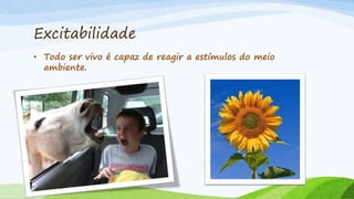 Excitabilidade
• Todo ser vivo é capaz de reagir a estímulos do meio
ambiente.
 
