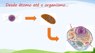 Desde átomo até o organismo...
 