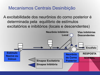 A excitabilidade dos neurônios do corno posterior é
determinada pela equilíbrio de estímulos
excitatórios e inibitórios (locais e descendentes)
Neurônio
do Corno
Posterior
Vias Inibitórias
Descendentes
Neurônio Inibitório
Local
Sinapse Excitatória
Sinapse Inibitória
RESPOSTA
NORMAL
Estímulo
Nocivo ou
Inócuo
Mecanismos Centrais Desinibição
Encéfalo
 