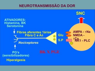 ATIVADORES:
Histamina, BK
Serotonina
Fibras aferentes 1árias
Fibra C e Aδ Glu
S.P
AMPA - ↑Na
NMDA -
↑Ca
NK1 - PLC
Nociceptores
PG’s
(sensibilizadores)
Hiperalgesia
SNC
NEUROTRANSMISSÃO DA DOR
BK X PGE
 