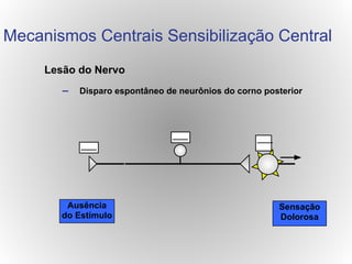 Lesão do Nervo
– Disparo espontâneo de neurônios do corno posterior
Ausência
do Estímulo
Sensação
Dolorosa
Mecanismos Centrais Sensibilização Central
 