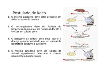 Postulado de Koch
1. O mesmo patógeno deve estar presente em
todos os casos da doença
2. O microrganismo deve ser isolado do
hospedeiro (animal ou ser humano) doente e
crescer em cultura pura
3. O patógeno da cultura pura deve causar a
doença quando inoculado em um animal de
laboratório saudável e suscetível
4. O mesmo patógeno deve ser isolado do
animal experimental infectado e crescer
novamente em cultura pura
 