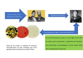 Antes de Lina Hesse, o trabalho de classificar
microrganismos era tão complexo que Lineu
agrupou todas as bactérias na ordem Chaos.
Angelina Fanny Hesse
Casal Lina e Walther Hesse
Trabalhavam com Robert Koch
Foi a primeira pessoa a propor o uso de ágar como meio
de cultura para crescimento e isolamento de bactérias.
Sua contribuição à microbiologia é crucial, porém ainda
não é amplamente reconhecida.
E se usássemos o ágar no meio de cultura????
 