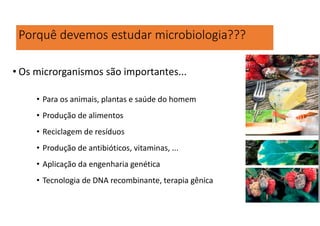 Porquê devemos estudar microbiologia???
• Os microrganismos são importantes...
• Para os animais, plantas e saúde do homem
• Produção de alimentos
• Reciclagem de resíduos
• Produção de antibióticos, vitaminas, ...
• Aplicação da engenharia genética
• Tecnologia de DNA recombinante, terapia gênica
 