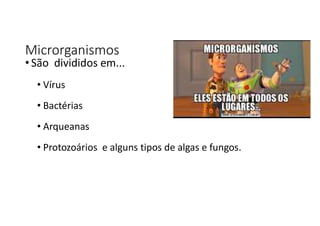 Microrganismos
• São divididos em...
• Vírus
• Bactérias
• Arqueanas
• Protozoários e alguns tipos de algas e fungos.
 