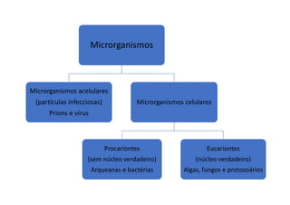 Microrganismos
Microrganismos acelulares
(partículas infecciosas)
Prions e vírus
Microrganismos celulares
Procariontes
(sem núcleo verdadeiro)
Arqueanas e bactérias
Eucariontes
(núcleo verdadeiro)
Algas, fungos e protozoários
 